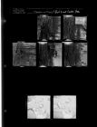 Dragline at River; Girl Scout Cookie Sale (7 Negatives) (February 1, 1961) [Sleeve 1, Folder b, Box 26]